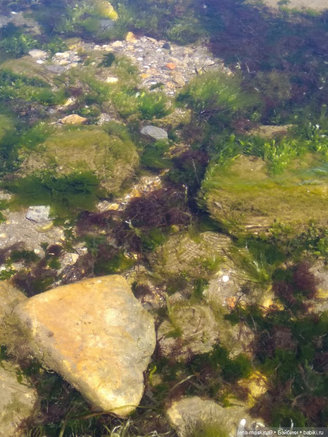 Феодосия, море, лето, куколки Келли