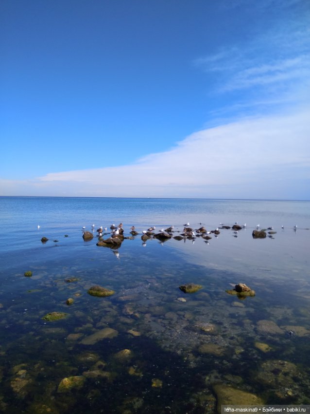 Феодосия, море, лето, куколки Келли (фото 5)