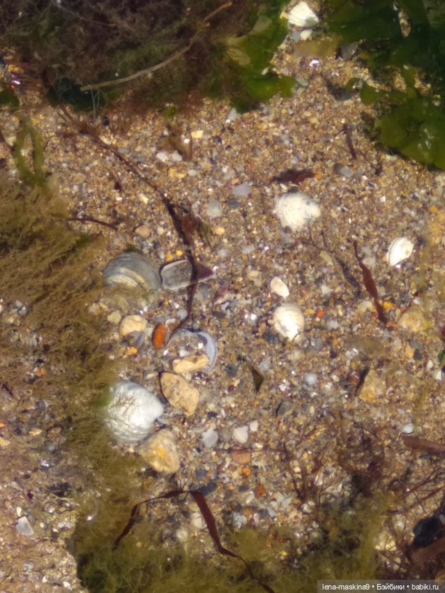 Феодосия, море, лето, куколки Келли