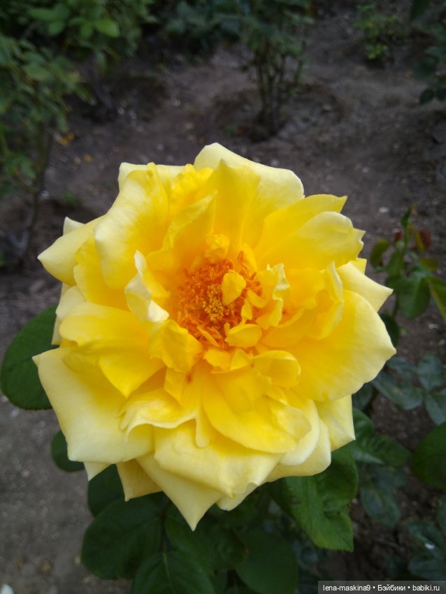 Подарок - кукла от любимого мужа