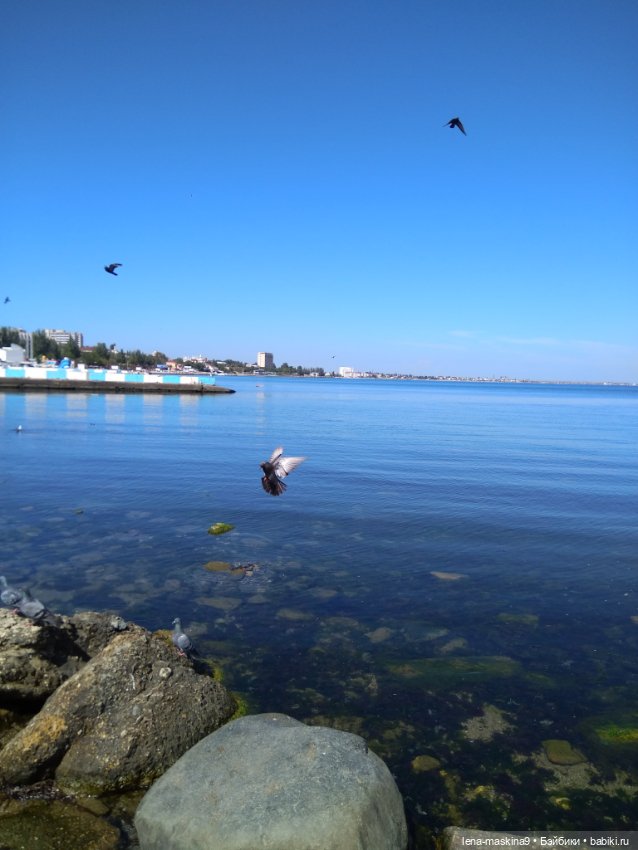 Феодосия, море, лето, куколки Келли