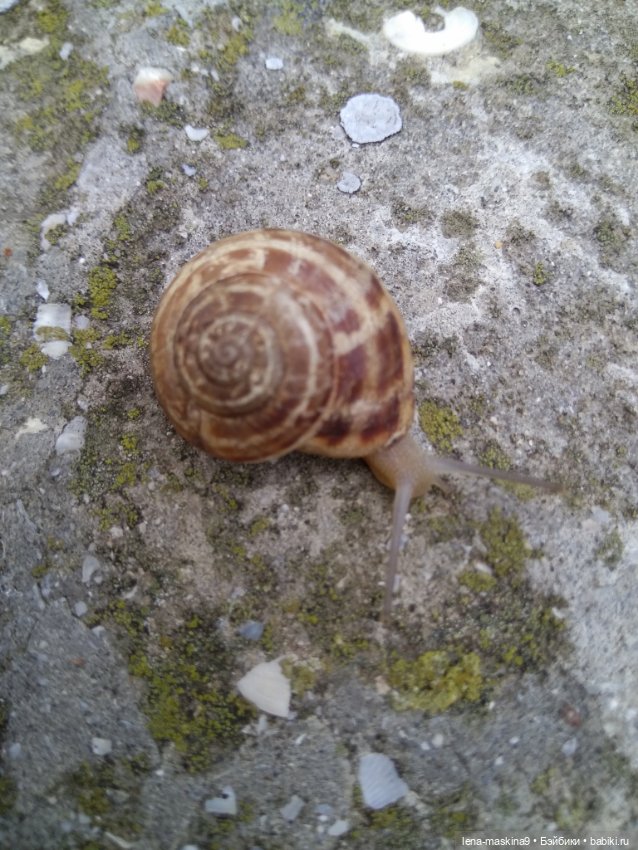 Феодосия, море, лето, куколки Келли (фото 7)