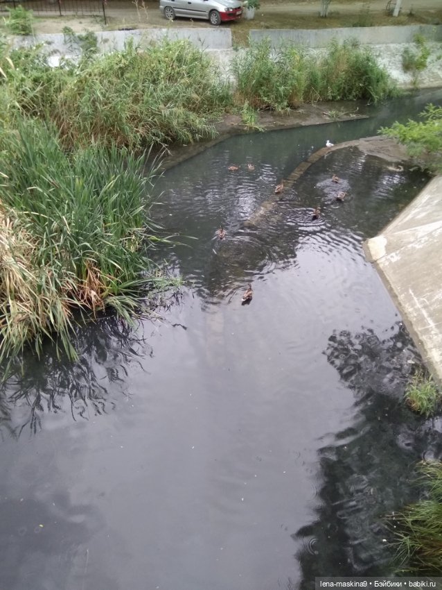 Феодосия, море, лето, куколки Келли