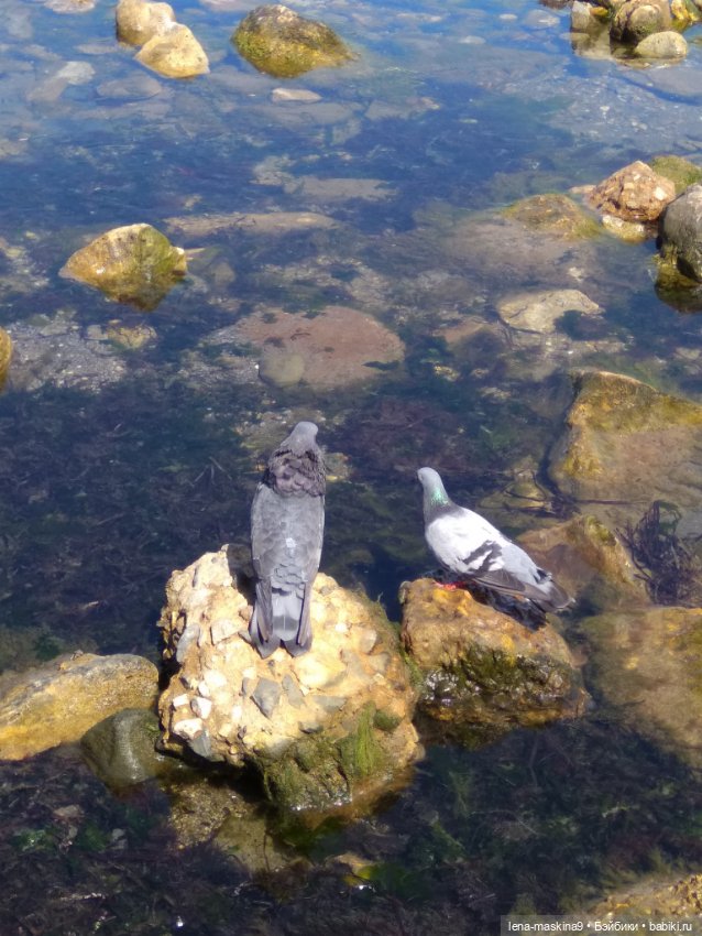 Феодосия, море, лето, куколки Келли