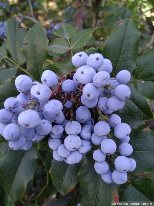 Подарок - кукла от любимого мужа (фото 10)