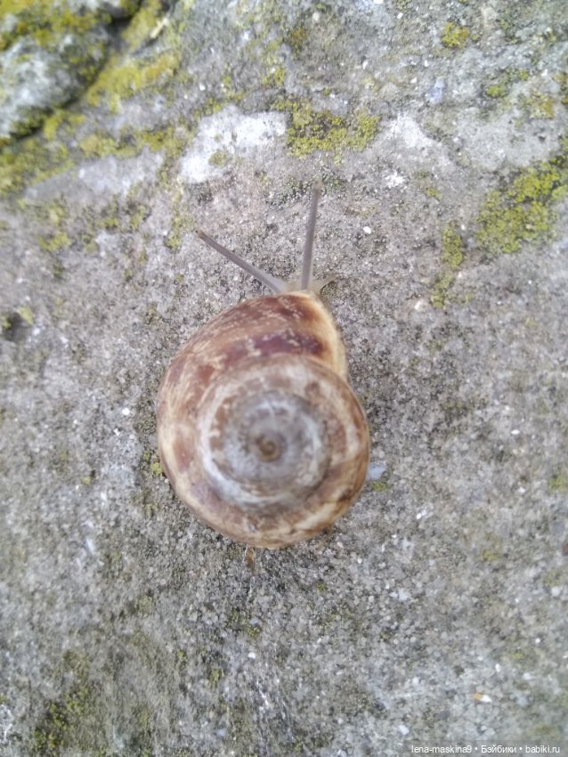 Феодосия, море, лето, куколки Келли (фото 8)