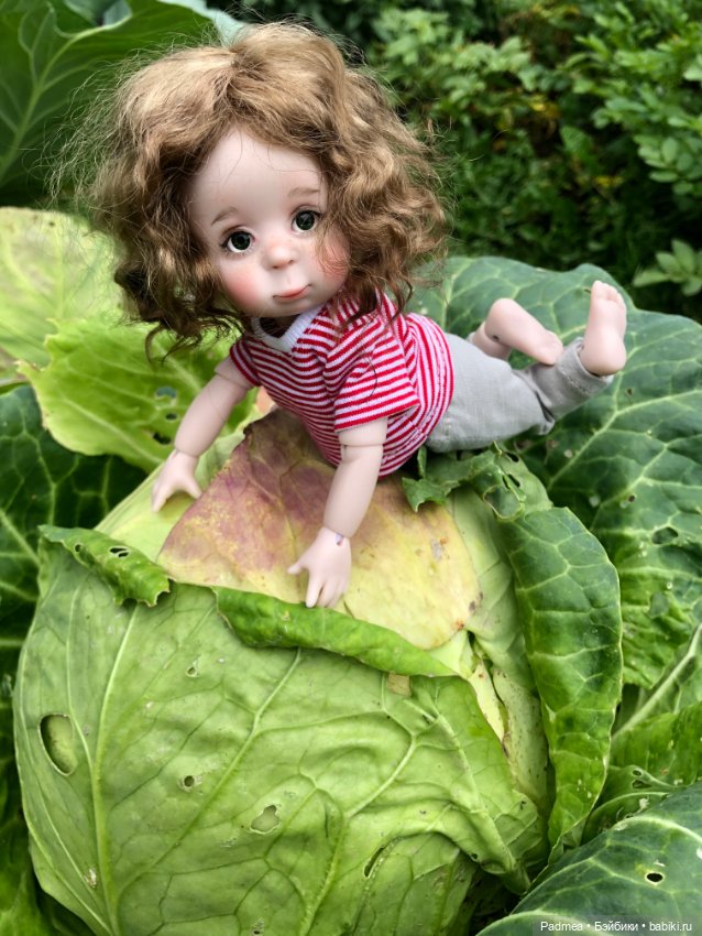 Знатная капустка — Авторские куклы BJD (БЖД) у нас дома: фото (фото 3)