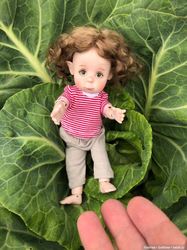 Знатная капустка — Авторские куклы BJD (БЖД) у нас дома: фото (фото 6)