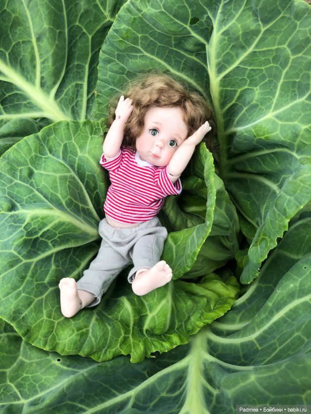 Знатная капустка — Авторские куклы BJD (БЖД) у нас дома: фото (фото 4)