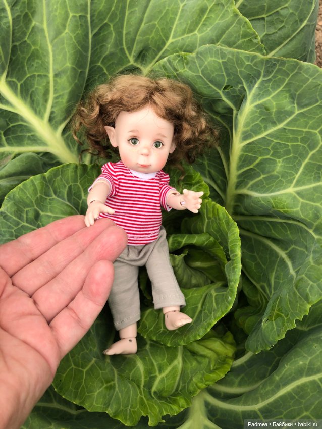 Знатная капустка — Авторские куклы BJD (БЖД) у нас дома: фото (фото 5)