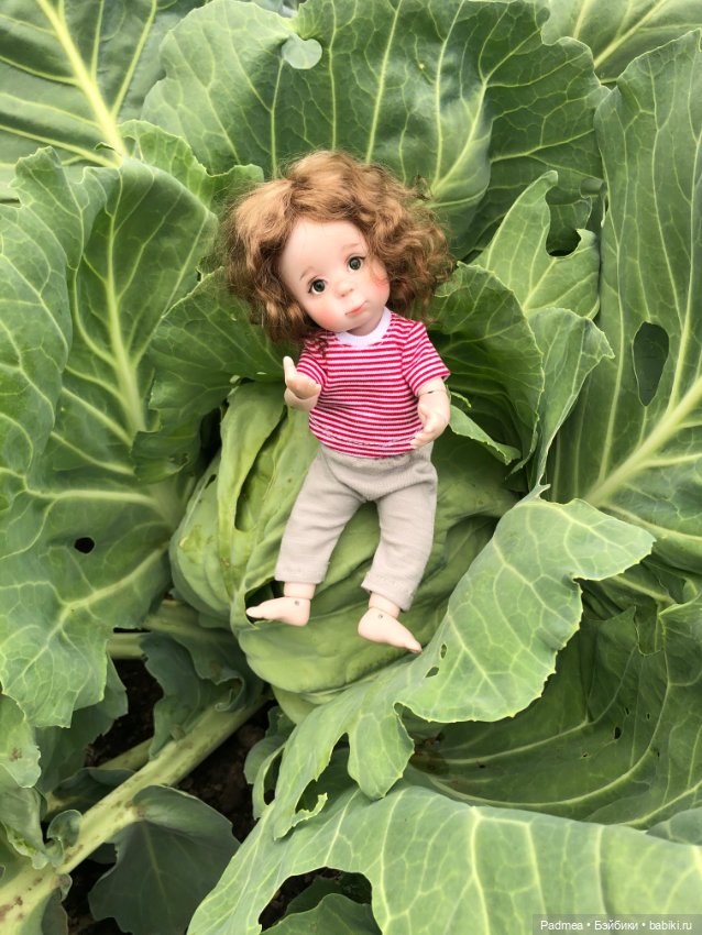 Знатная капустка — Авторские куклы BJD (БЖД) у нас дома: фото (фото 2)