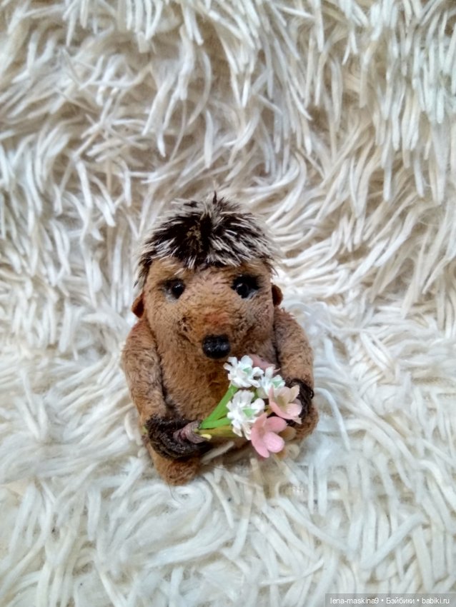 Ёжики, отдых в Судаке и прочее