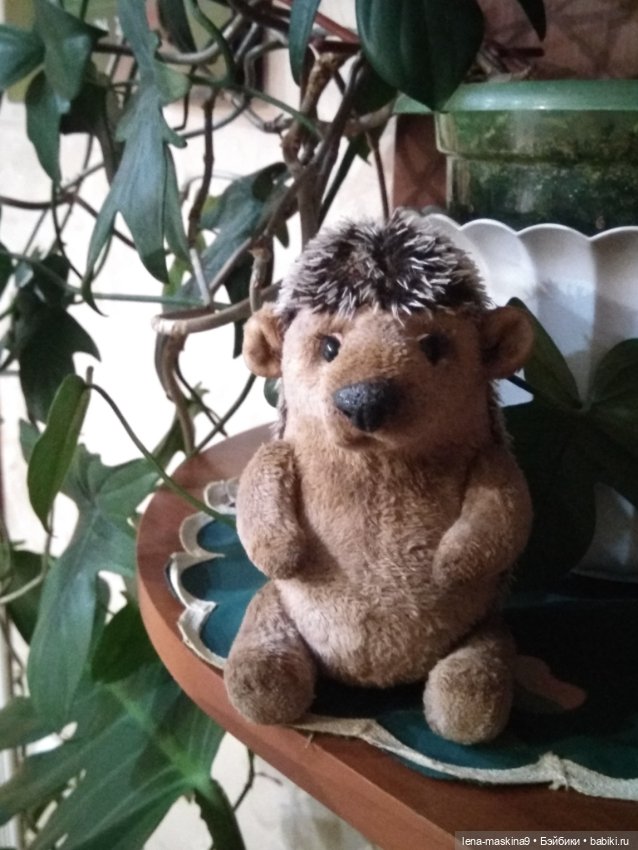 Ёжики, отдых в Судаке и прочее