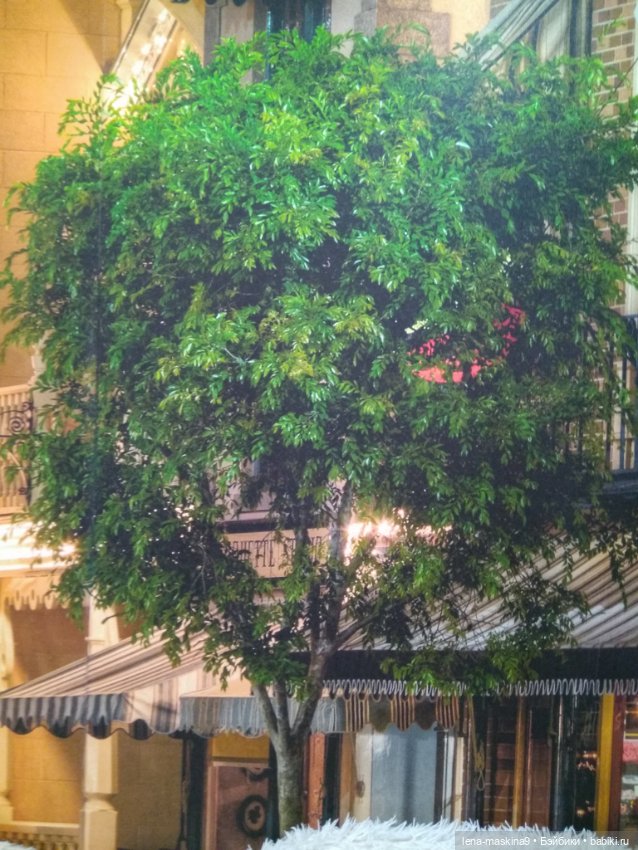 Ёжики, отдых в Судаке и прочее