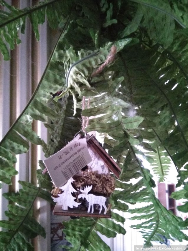 Ёжики, отдых в Судаке и прочее