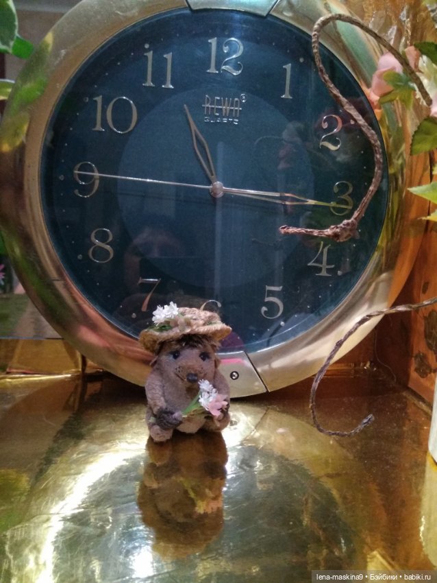 Ёжики, отдых в Судаке и прочее