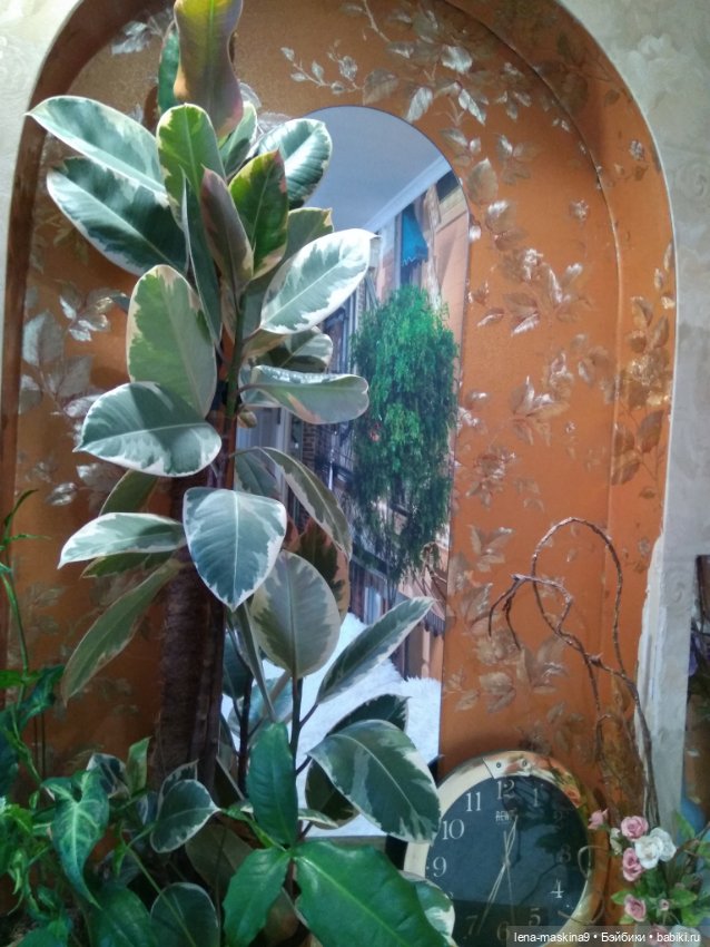 Ёжики, отдых в Судаке и прочее