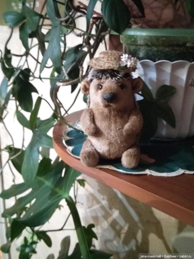 Ёжики, отдых в Судаке и прочее