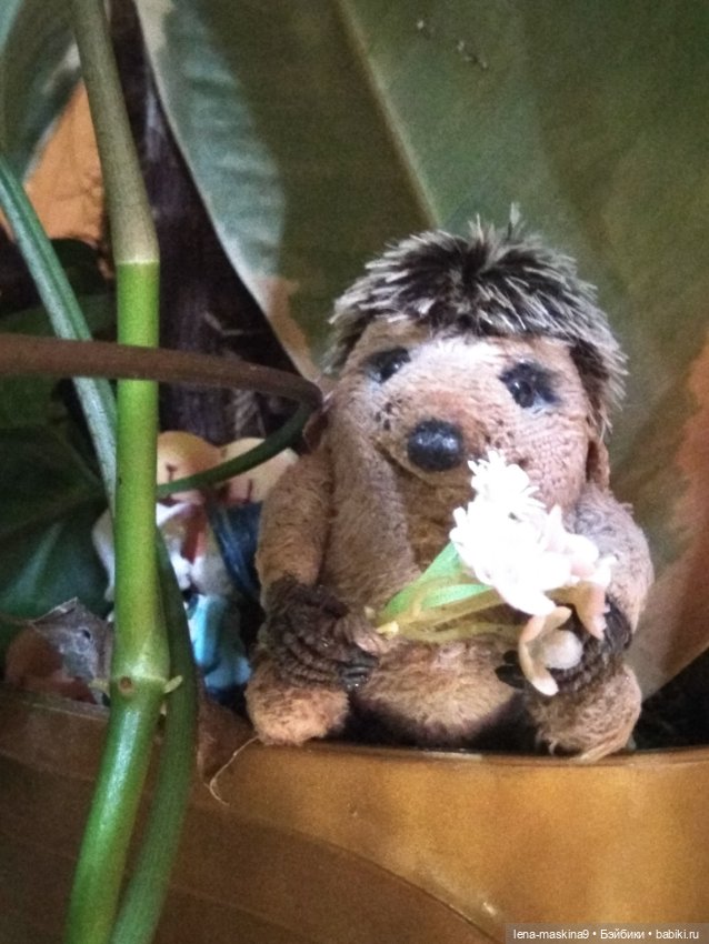 Ёжики, отдых в Судаке и прочее