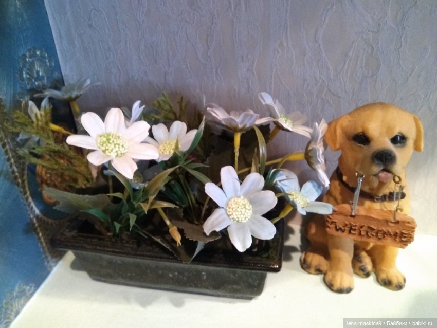 Ёжики, отдых в Судаке и прочее