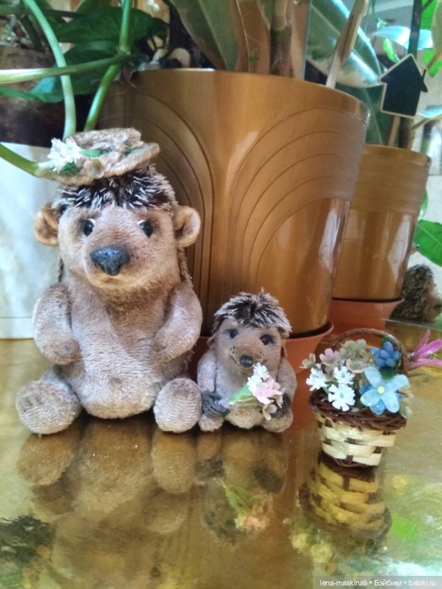 Ёжики, отдых в Судаке и прочее