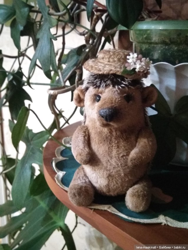 Ёжики, отдых в Судаке и прочее