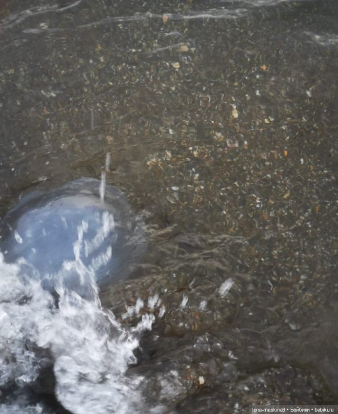 Прощай любимый город - Судак. До новых встреч (фото 5)