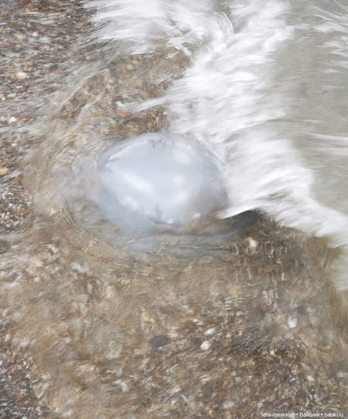 Прощай любимый город - Судак. До новых встреч (фото 7)