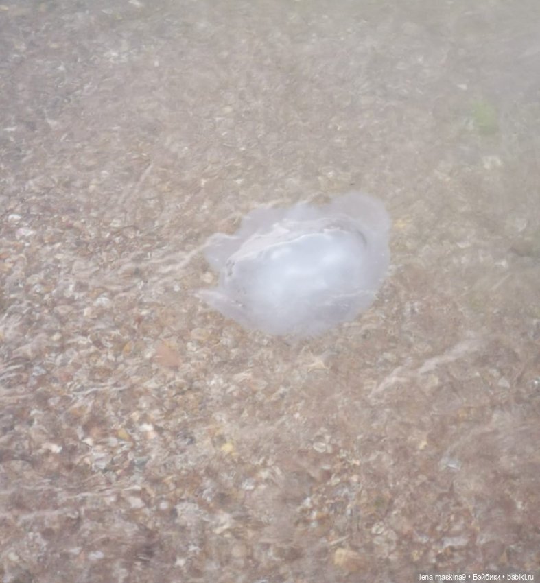 Прощай любимый город - Судак. До новых встреч (фото 6)