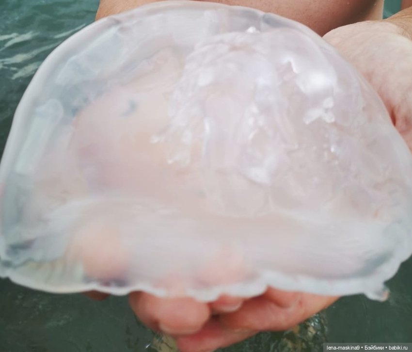 Прощай любимый город - Судак. До новых встреч (фото 9)