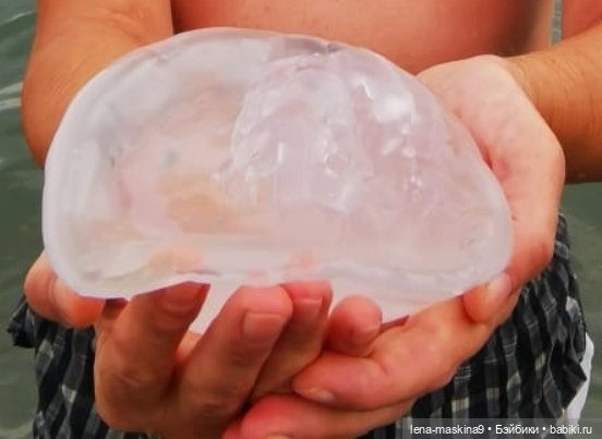 Прощай любимый город - Судак. До новых встреч (фото 10)