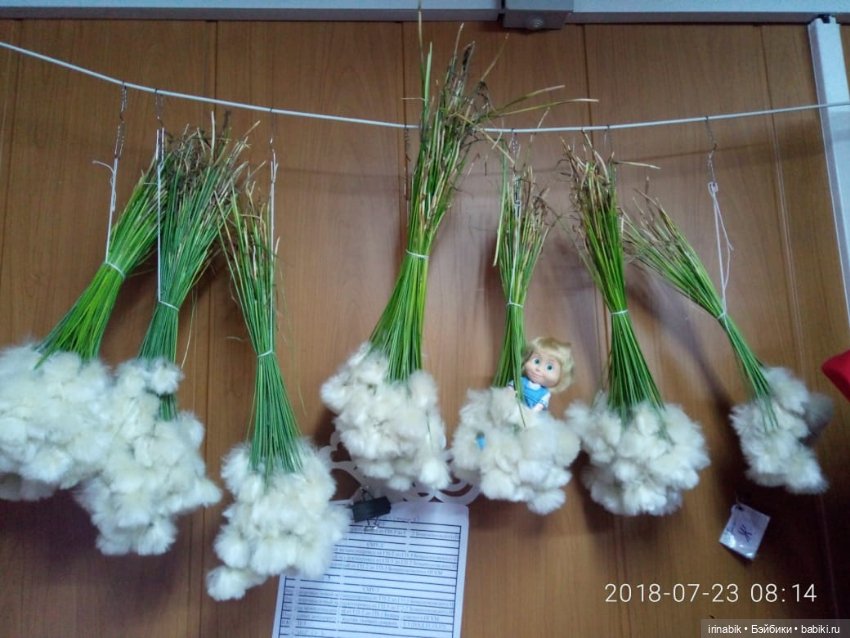 Маленькая прогулка больших детей