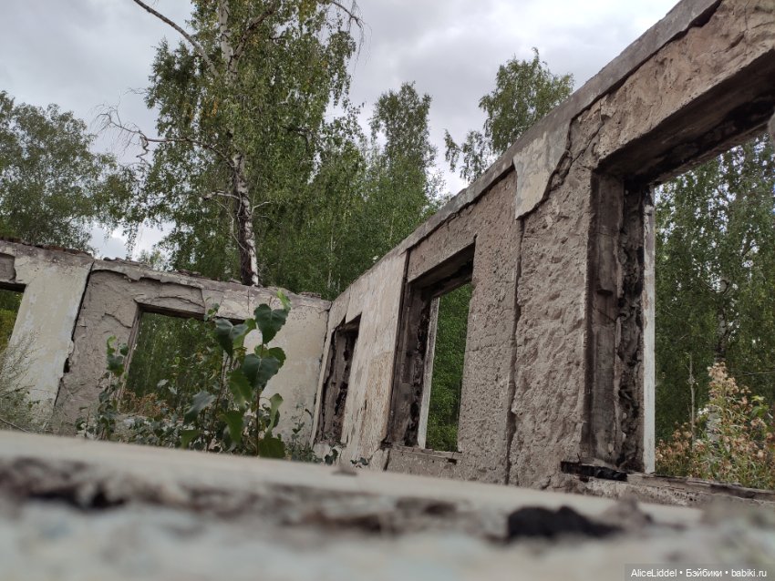 Лиэнн на прогулке, часть l и ll (фото 2)