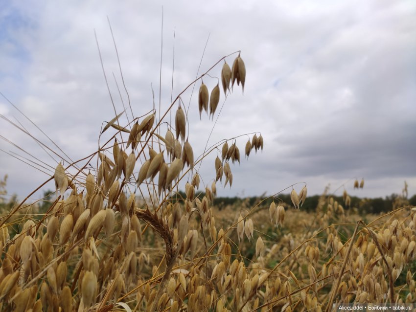 Лиэнн на прогулке, часть l и ll