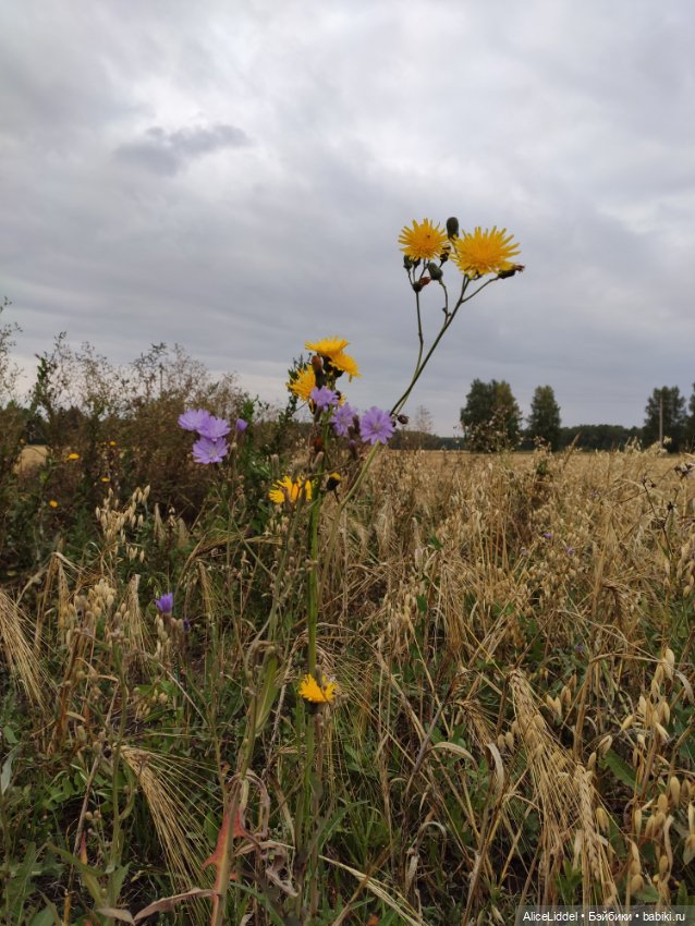 Лиэнн на прогулке, часть l и ll