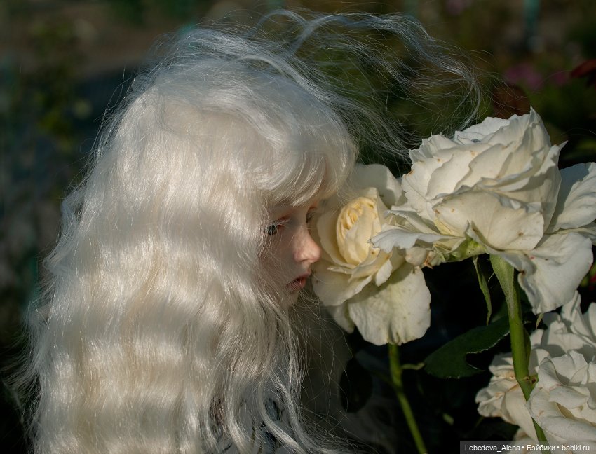 Белое с белым — Куклы Dollstown (Доллстаун): BJD (БЖД) (фото 2)