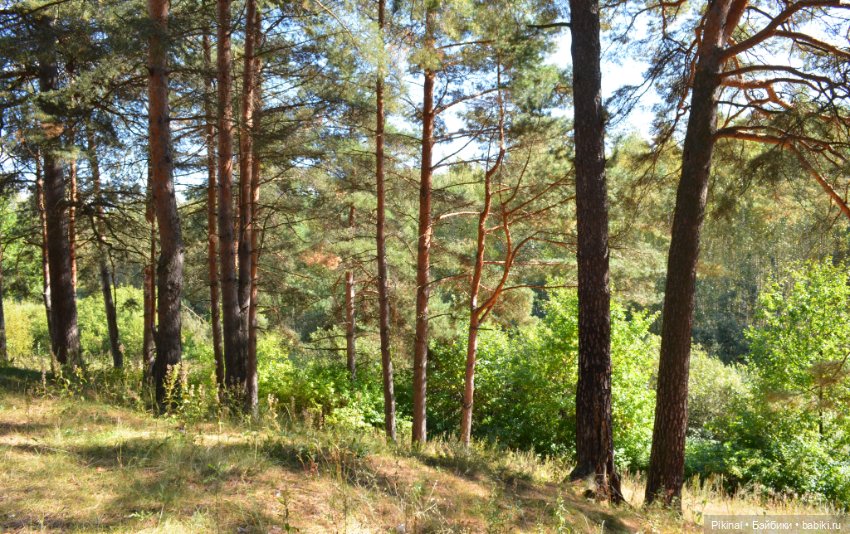 Покачаемся? Качельки а-Л-я лодочка