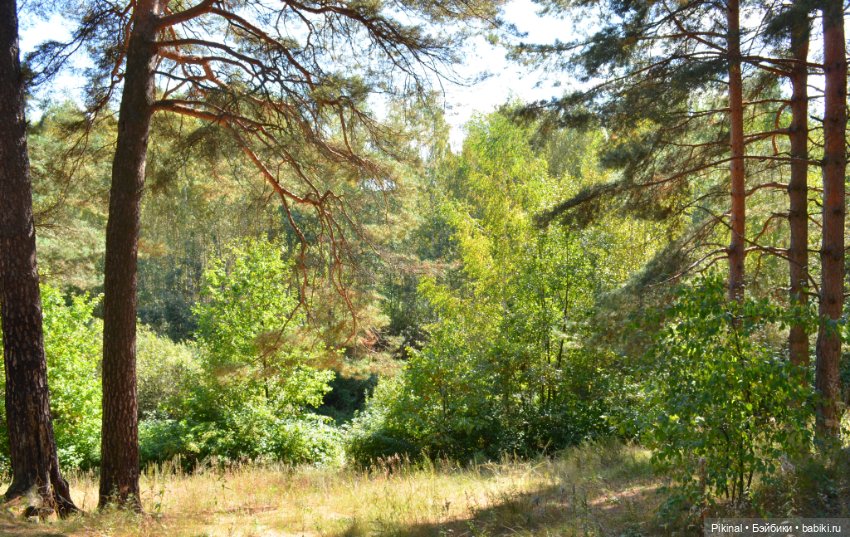 Покачаемся? Качельки а-Л-я лодочка