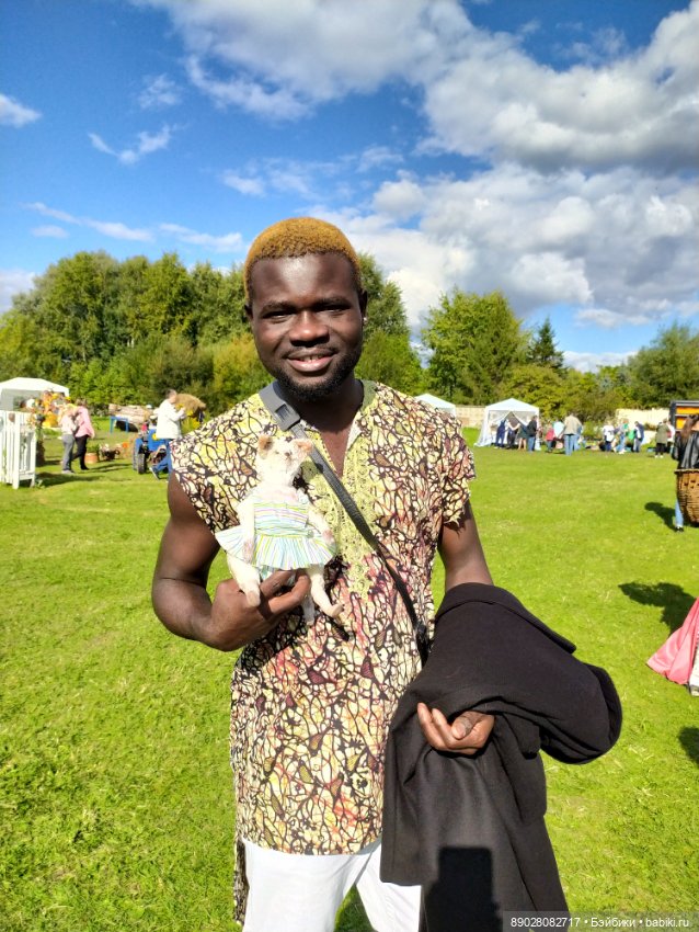 Фотосессия кошки — Другие хобби и увлечения: сад