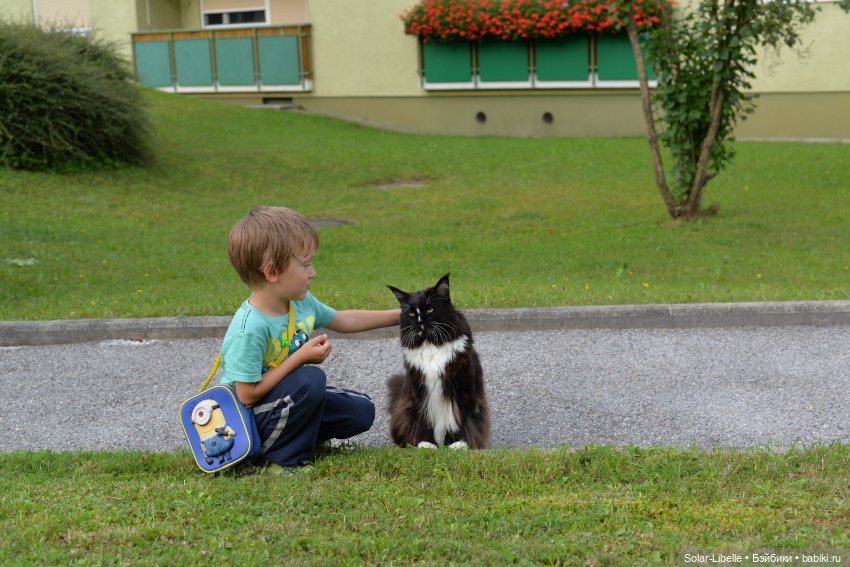 Куклы Rosemarie Anna Muller (Мюллер): Вихтели (Wichtel)