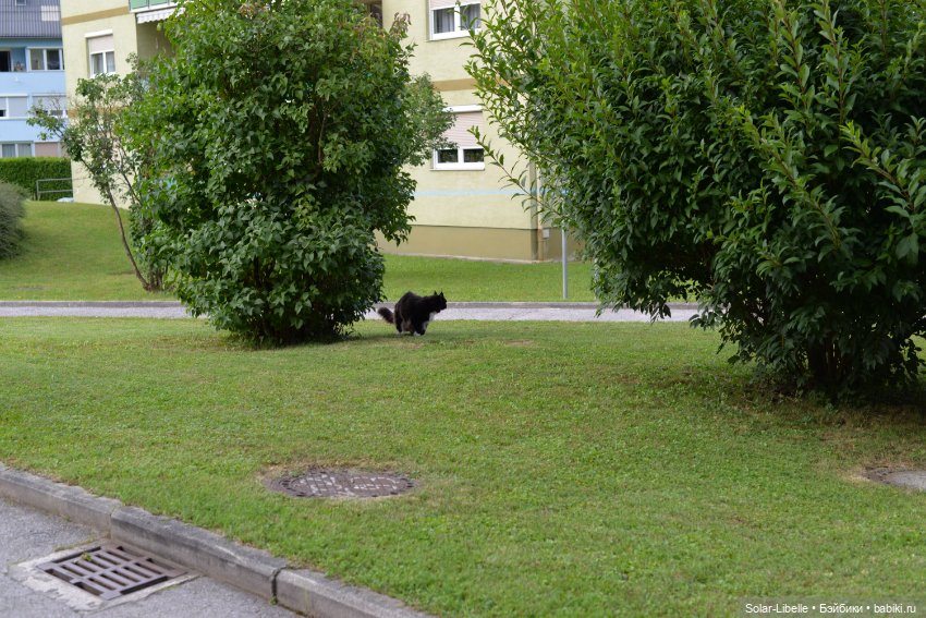 Куклы Rosemarie Anna Muller (Мюллер): Вихтели (Wichtel) (фото 8)