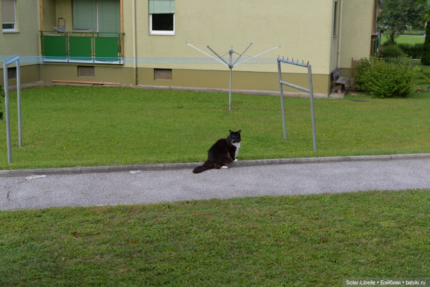 Куклы Rosemarie Anna Muller (Мюллер): Вихтели (Wichtel) (фото 9)