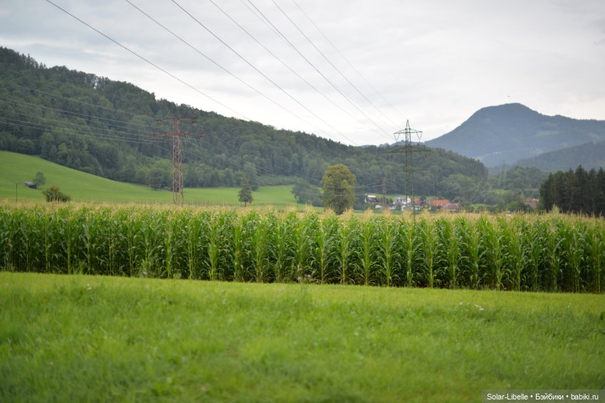 Куклы Rosemarie Anna Muller (Мюллер): Вихтели (Wichtel)