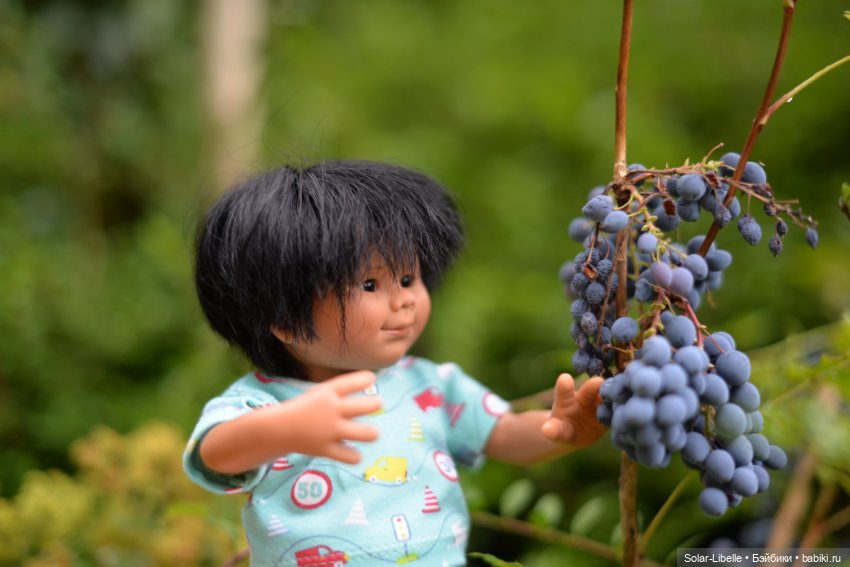 Куклы Rosemarie Anna Muller (Мюллер): Вихтели (Wichtel)