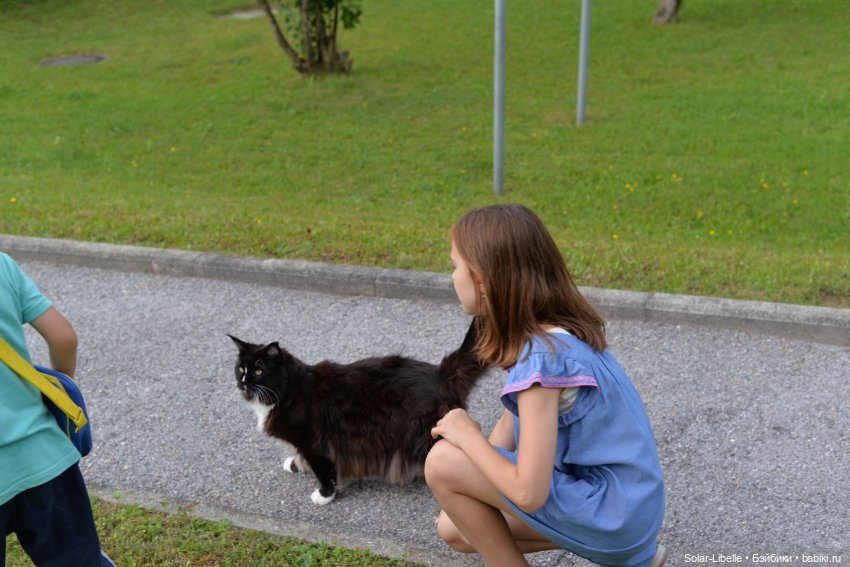 Куклы Rosemarie Anna Muller (Мюллер): Вихтели (Wichtel) (фото 10)