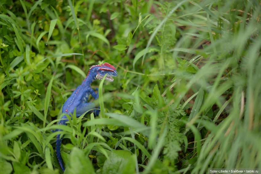 Куклы Rosemarie Anna Muller (Мюллер): Вихтели (Wichtel)