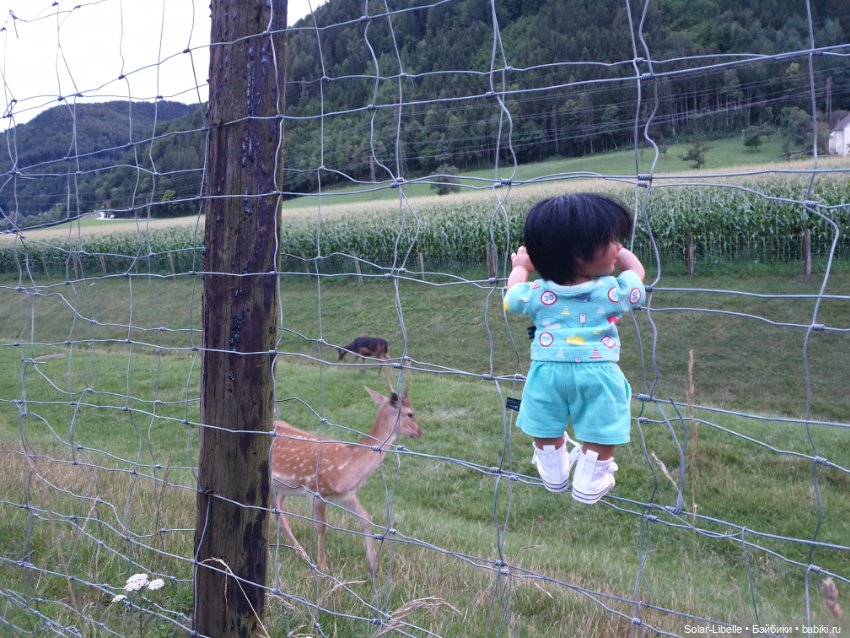 Куклы Rosemarie Anna Muller (Мюллер): Вихтели (Wichtel)