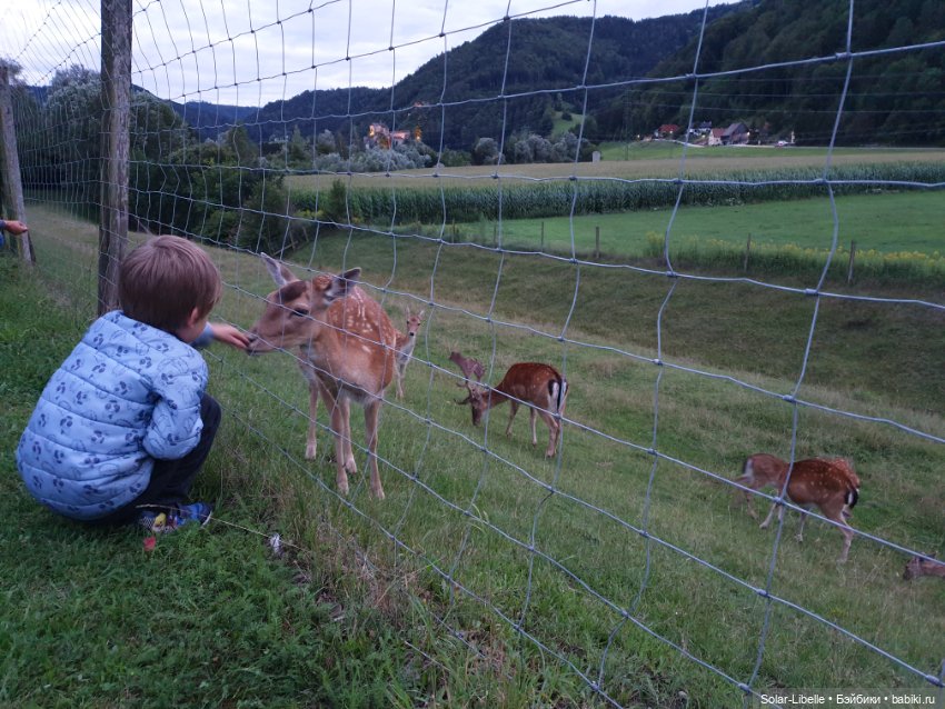 Куклы Rosemarie Anna Muller (Мюллер): Вихтели (Wichtel)