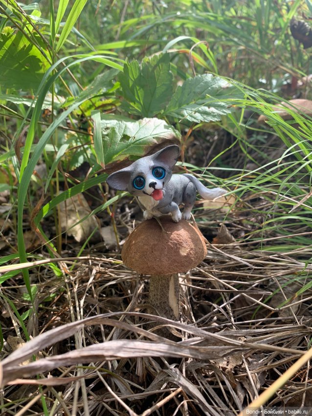 Омлетик(корги) — Разные шарнирные куклы (не БЖД): редкие (фото 6)