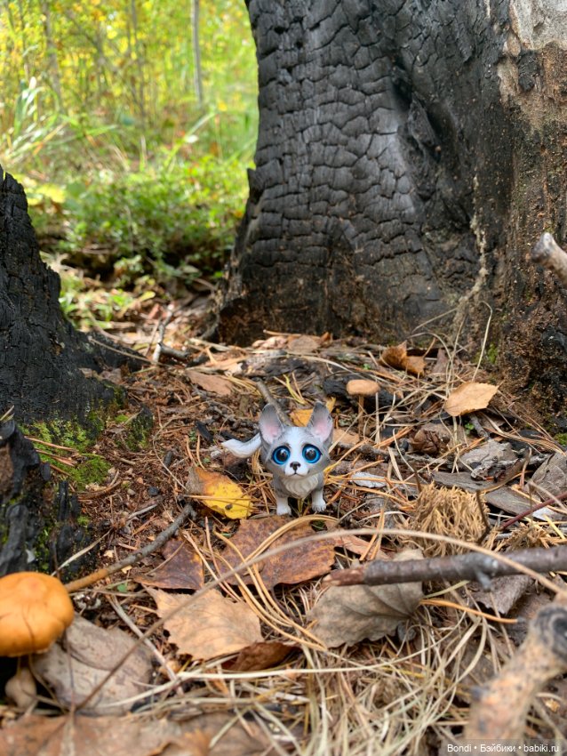 Омлетик(корги) — Разные шарнирные куклы (не БЖД): редкие (фото 3)